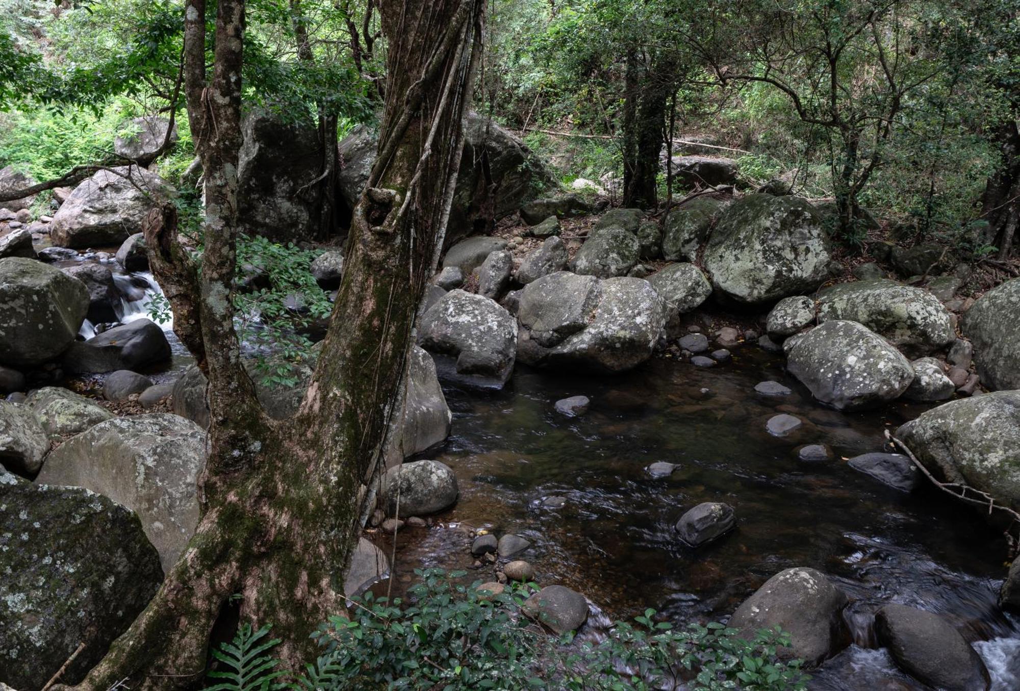 The Glenrock Wellness Nature Resort Belihuloya Dış mekan fotoğraf